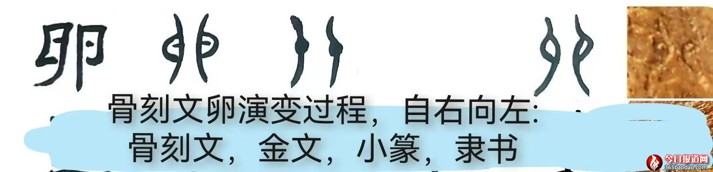 微信圖片_20250318071008.jpg