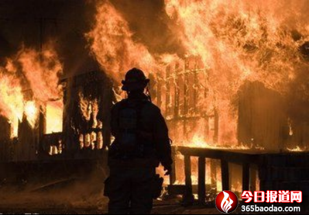 碧血映忠誠1635.png